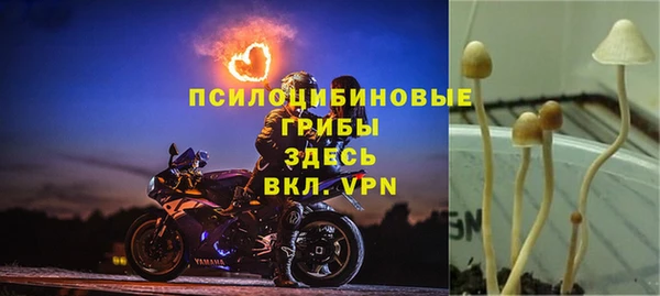 mdma Горняк