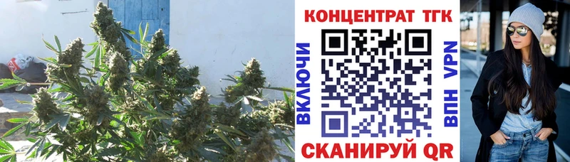 Дистиллят ТГК Wax  Купить закладки  Краснокамск 